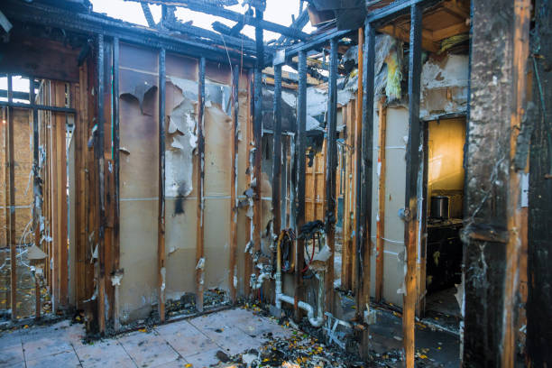 Professional Fire Damage Repair technician working in Daniel, UT